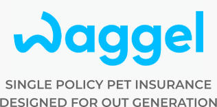 SINGLE POLICY PET INSURANCE  DESIGNED FOR OUT GENERATION