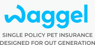 SINGLE POLICY PET INSURANCE  DESIGNED FOR OUT GENERATION