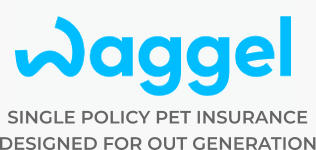 SINGLE POLICY PET INSURANCE  DESIGNED FOR OUT GENERATION